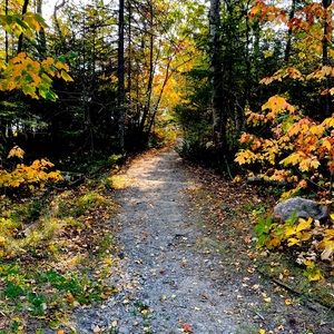 Hi! I’m Sandra and I live on the eastern coast of Lake Superior.